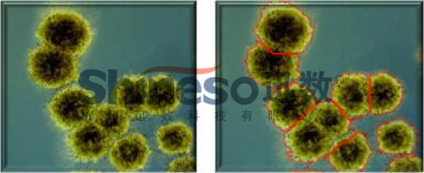廣西科學(xué)儀器