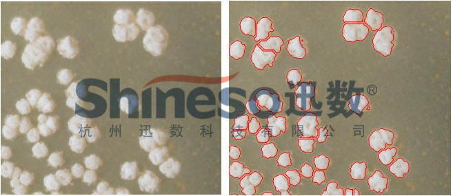 廣西科學(xué)儀器